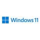 MS FPP Windows HOME 11 64-bit Slovenian USB HAJ-00101